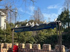 -J Create城市露营咖啡·简餐·宠物(上海动物园店)