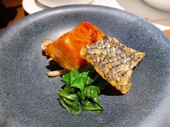 阿拉斯加银鳕鱼-觀芷隐轩