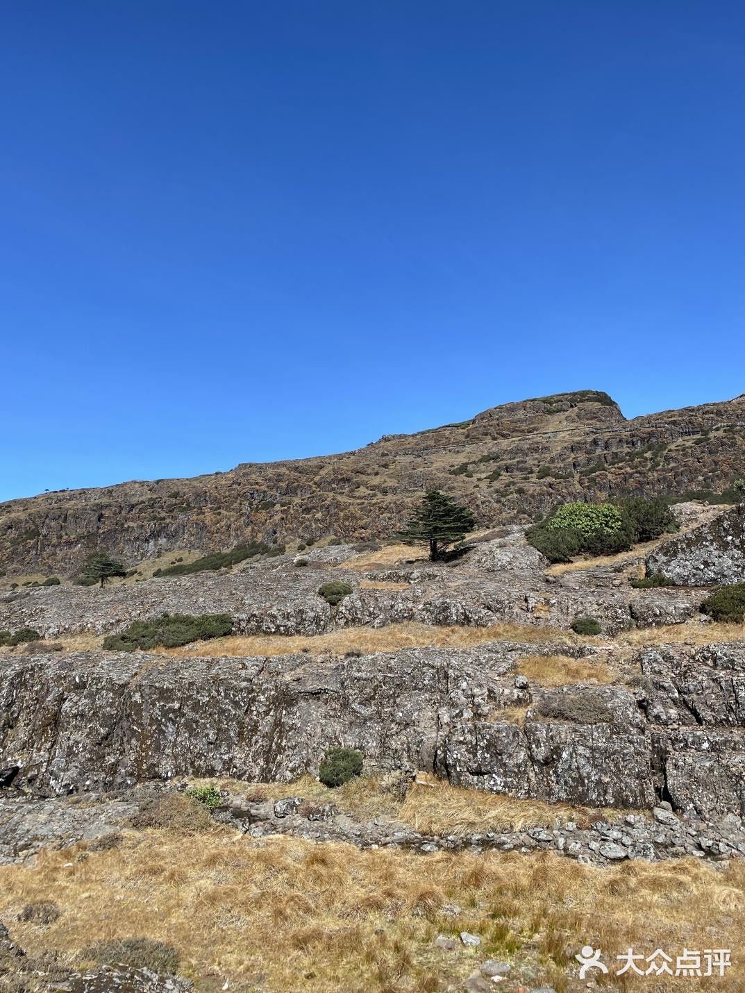 [胜利][胜利][加油]轿子雪山旅游攻略