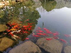 -中国茶叶博物馆(双峰馆区)
