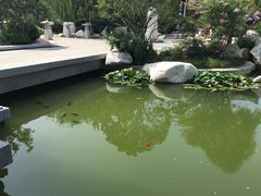 -西安华清御汤酒店