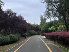 -西安浐灞国家湿地公园