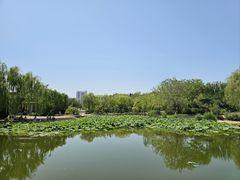 -南翠屏公园