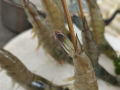 -牛天下·牛肉·海鲜·打边炉·融合菜