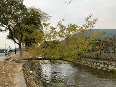 -树山生态村
