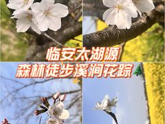 -太湖源风景区