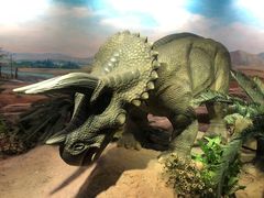 -国家自然博物馆