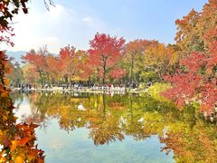 -西山人家·传统苏帮菜·家宴(木渎店)