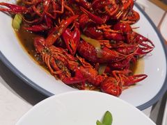 -杨氏青龙虾·羊蝎子(托乐嘉店)