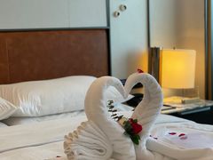 -广州奥园喜来登酒店