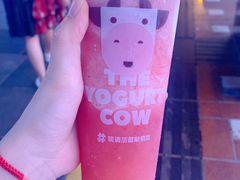 -一只酸奶牛(八一路店)