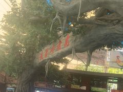 -虎啸峡漂流