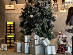 -J Create城市露营咖啡·简餐·宠物(上海动物园店)