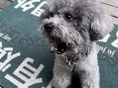 -默迹咖啡馆