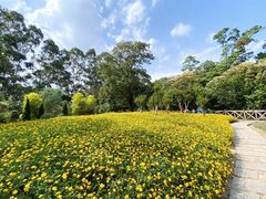 -广州市流溪河国家森林公园