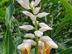 -怡海公园(桂城街道)