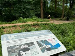 -中国大熊猫保护研究中心雅安碧峰峡基地