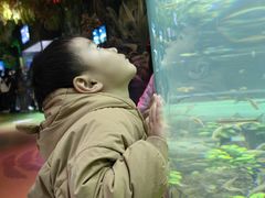 -海合安成都极地海洋公园