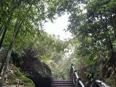-沐川竹海旅游景区