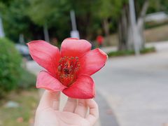 -海花岛旅游度假区