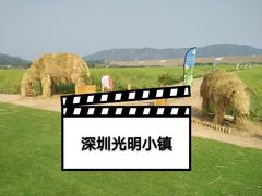 -光明小镇欢乐田园