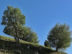 -新疆那拉提国家旅游度假区