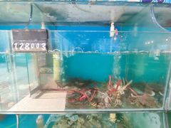 -东极岛海鲜