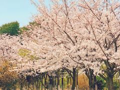 -江南大学(蠡湖校区)