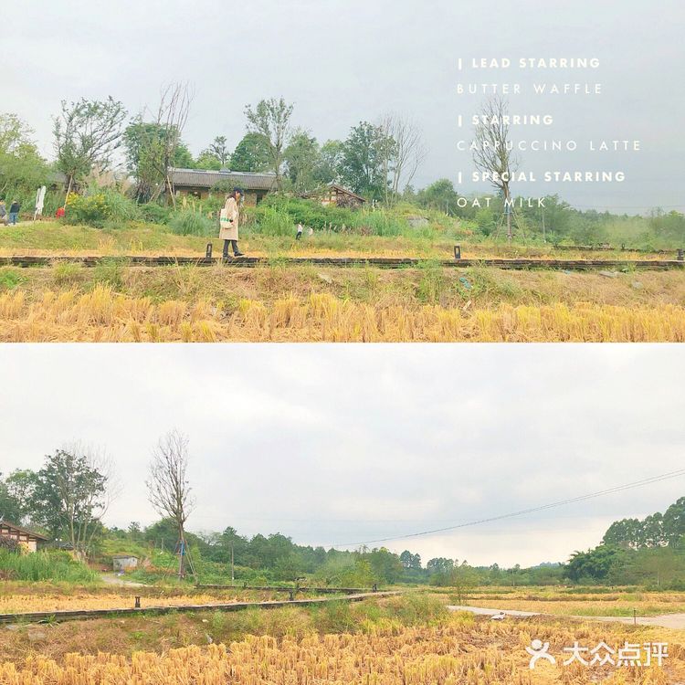 成都周边游｜官塘新村 文艺村落