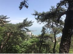 -崂山仰口游览区