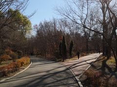 -长春市南湖公园