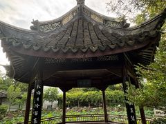 -上海醉白池公园