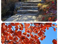 -周口店坡峰岭风景区