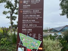 -上海长兴岛郊野公园