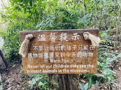 -普洱太阳河森林公园