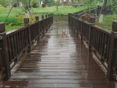 -九科绿洲