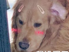 -星巴克臻选(郑州国贸360广场店)