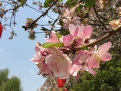 -云南民族大观园