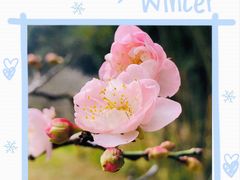 -桃花涧