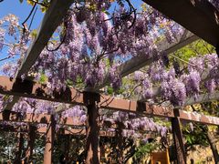 -龙口南山旅游景区