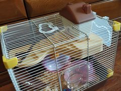 -钓仓鼠(洋桥北里小区店)
