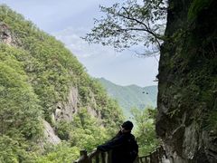 -洛阳白云山景区