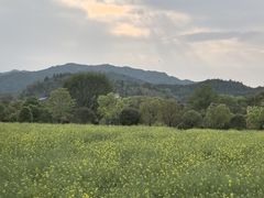 -古田会议纪念馆