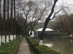 -瀛洲公园