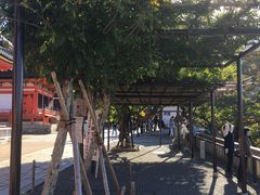 -有栖山 清光院 清水寺