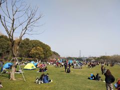 -昆山城市生态森林公园