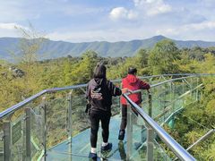 -陶祖圣境风景区