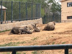 -大连森林动物园