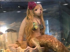 -成都泰迪熊博物馆
