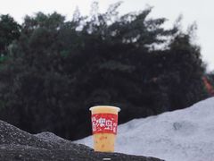 芒果百香果卡士-南澳岛打卡果汁冰公司